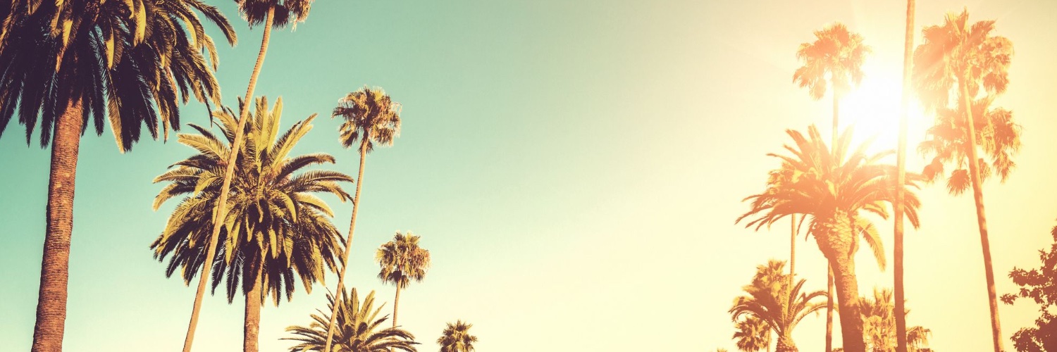 TheJennCooke's profile banner image