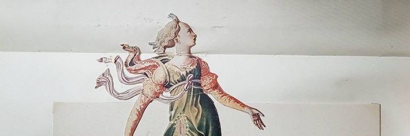 Nanski Momski banner
