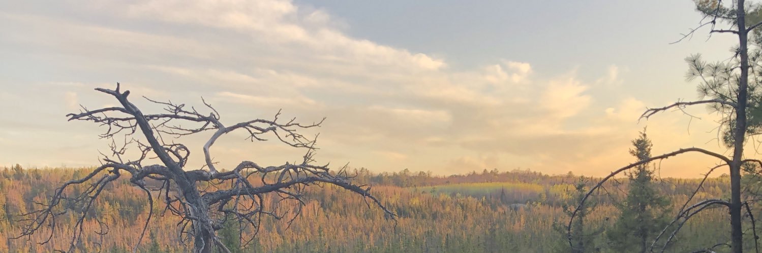 hhaileycf's profile banner image