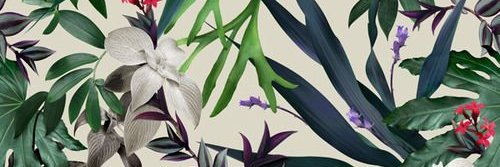 danscarrera's profile banner image