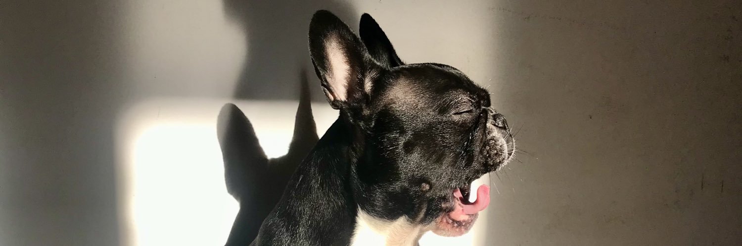 ssolsanchez_'s profile banner image