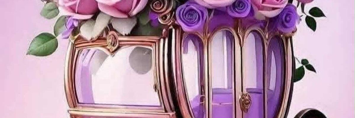 rowashwin's profile banner image