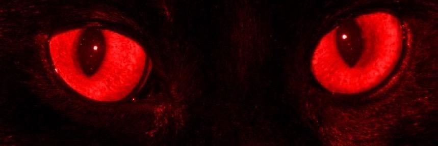 MMA Schopenhauer banner