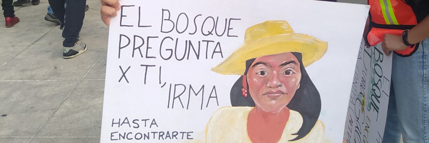 Fernanda Galicia banner