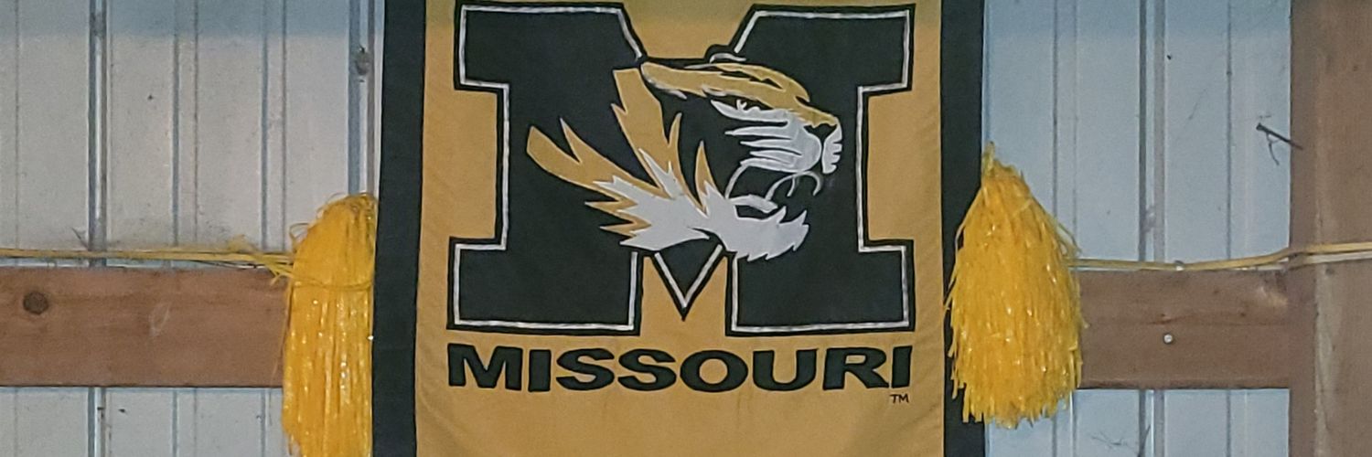 MizzouDude 🦁🐅🦁🐅 banner