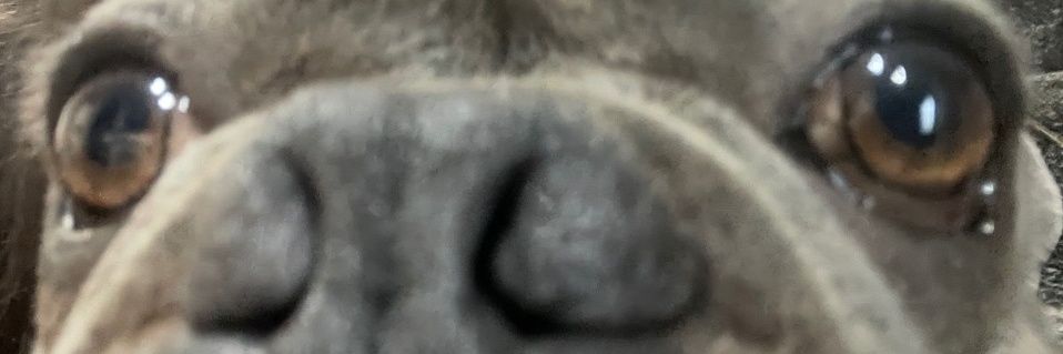 RPwagmi's profile banner image