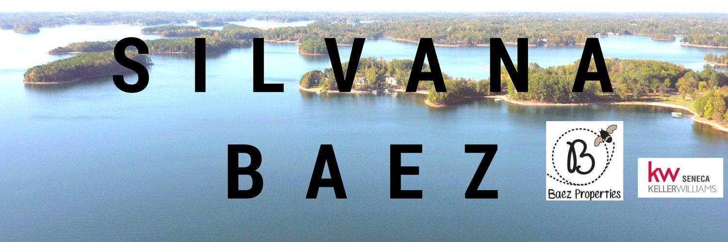 Silvana_Realtor's profile banner image