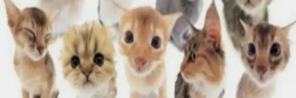 KainKoo's profile banner image