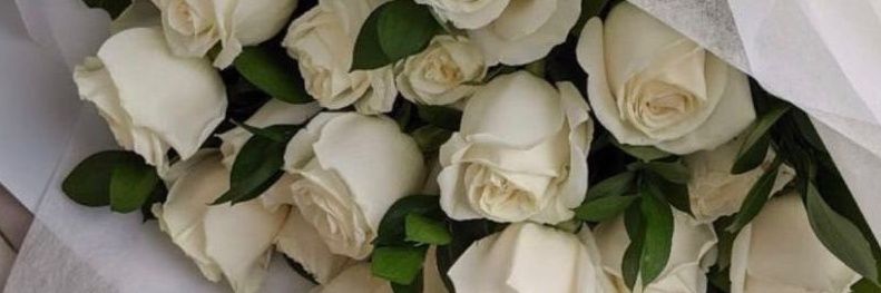 ___Olwethu's profile banner image