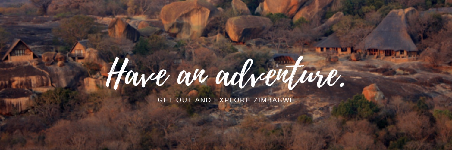 When in zim banner