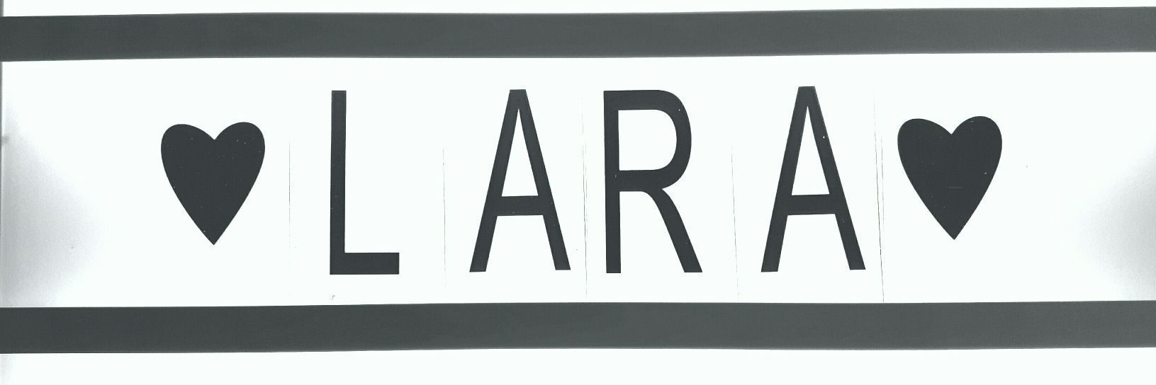 Lara banner
