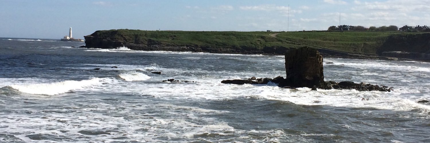 PaulieWalnuts🔫 banner