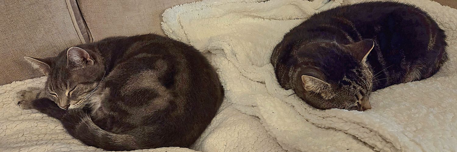 Peanut & Betty. banner