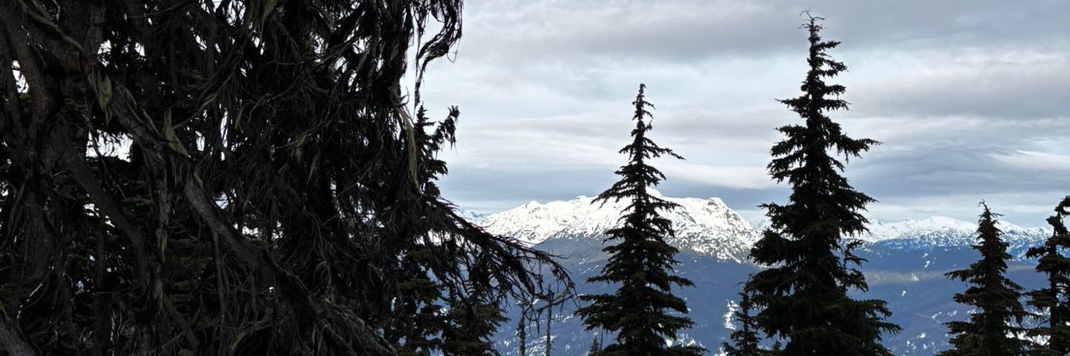 Seeker & Finder 💗 banner