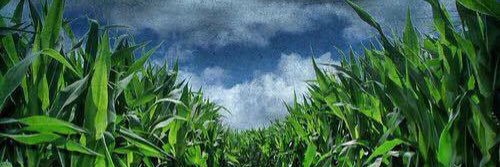 KLIPE_747's profile banner image