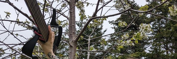 KylaTilley Profile Banner