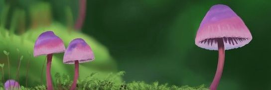 JustAPlant_'s profile banner image
