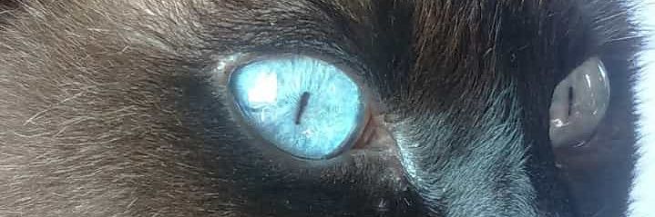 ciubacca10's profile banner image
