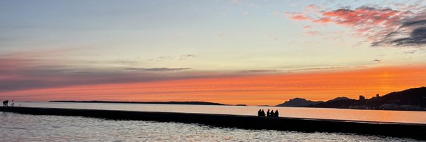 AliceDonckele Profile Banner