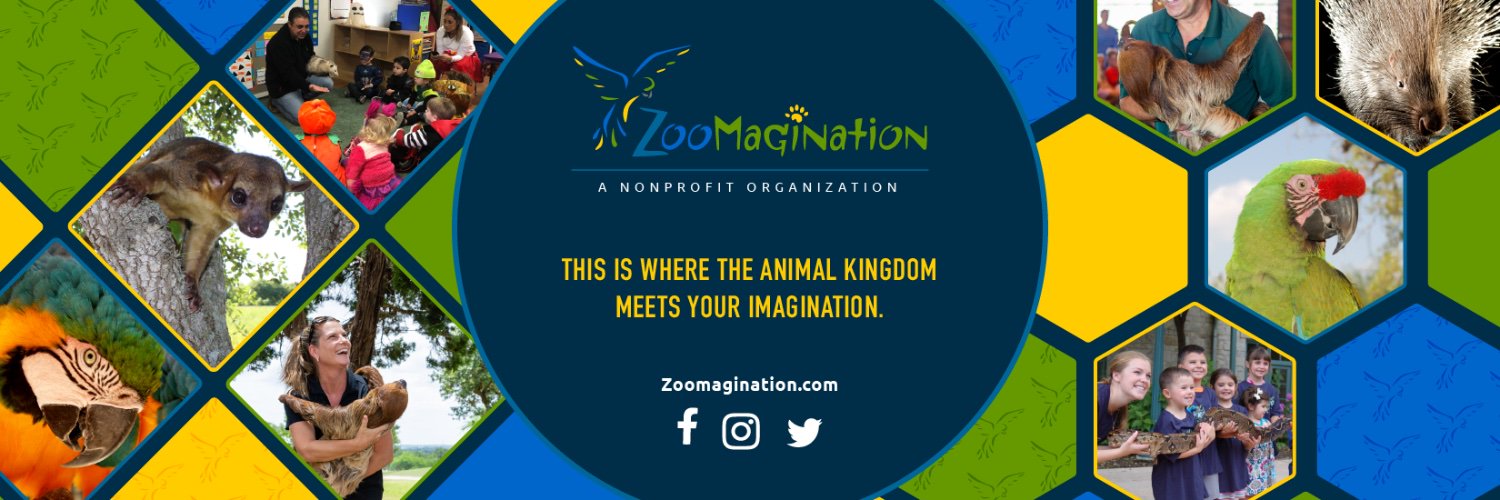 Zoomagination's profile banner image