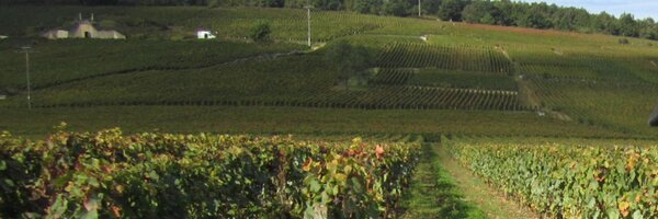 ReganDrew Profile Banner
