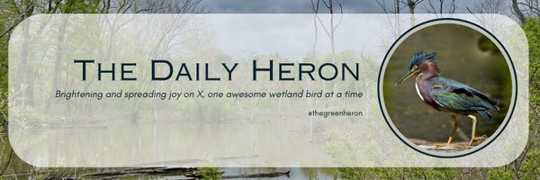 thegreenheron Profile Banner