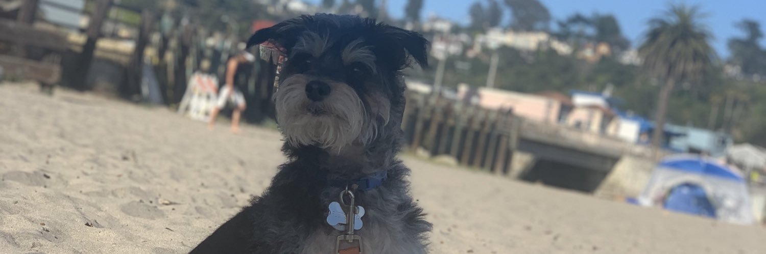 rmogge's profile banner image