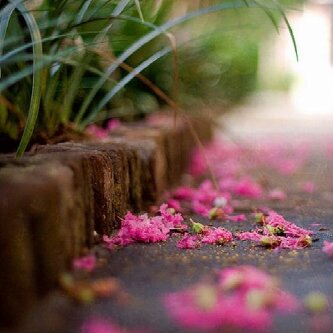 ‏﮼الحمدلله╮★╰ banner