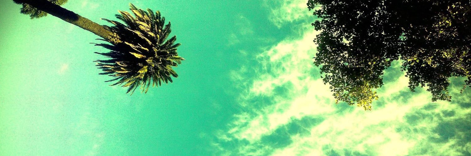 sabritorterolo's profile banner image