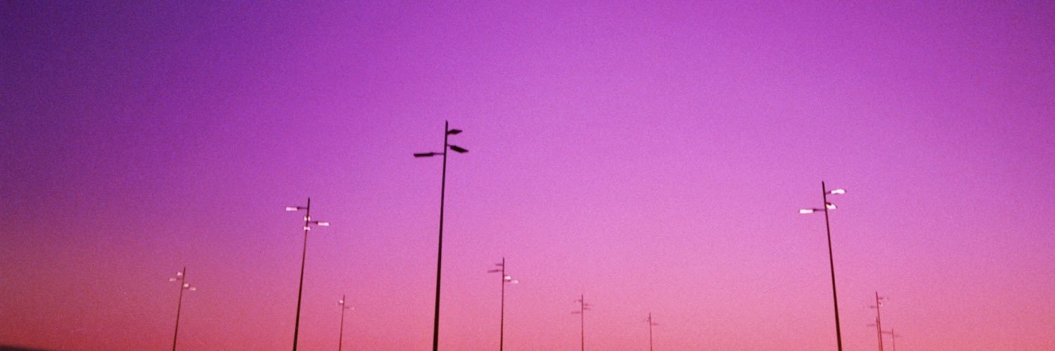 ervus_'s profile banner image