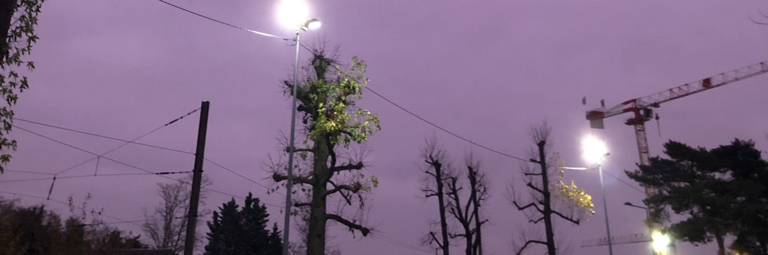 Isaacvdd's profile banner image