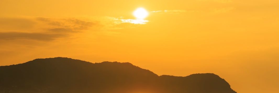 お取引♡DMの際メンションかリプ下さい banner