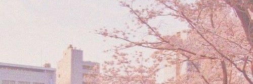 howlsairy 💓 (rest) banner