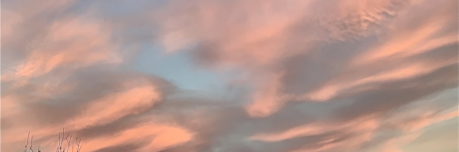 daza_nuria's profile banner image
