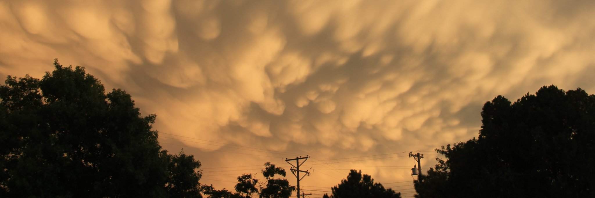 Karin Ardon-Dryer banner