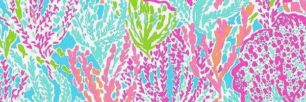 stephanieklevy's profile banner image