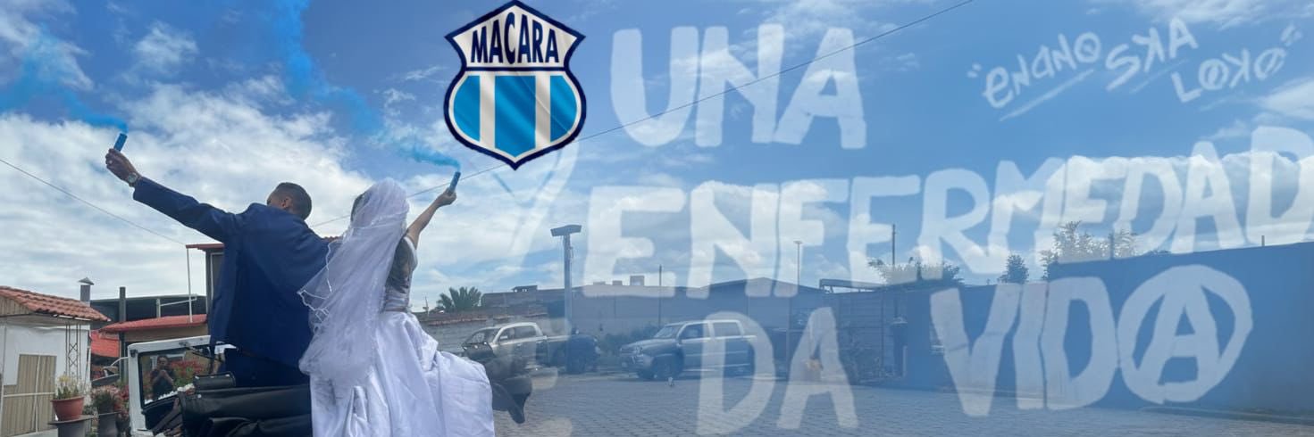 Edison nando lem banner