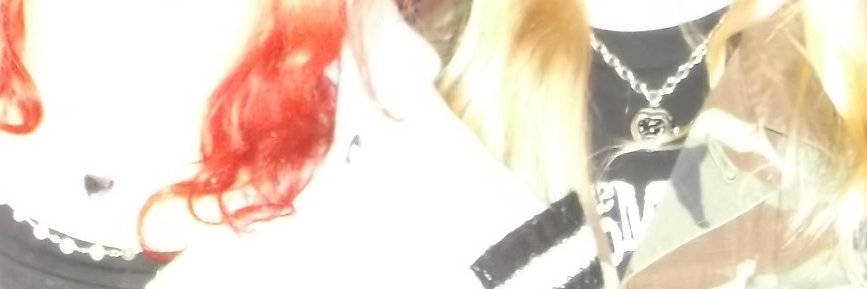 the bedhead estate banner