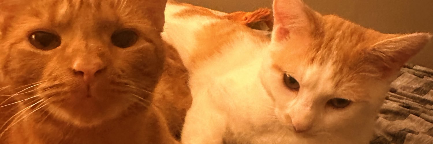 BubbaK34's profile banner image