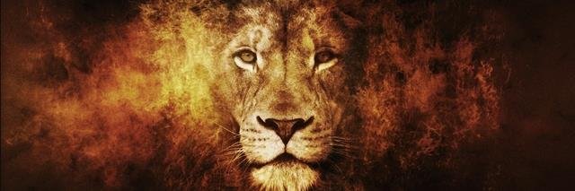 laico78's profile banner image