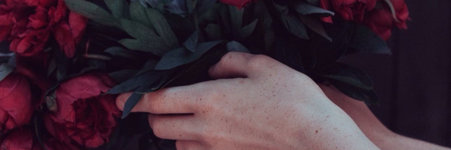 ElsaPonceAr's profile banner image