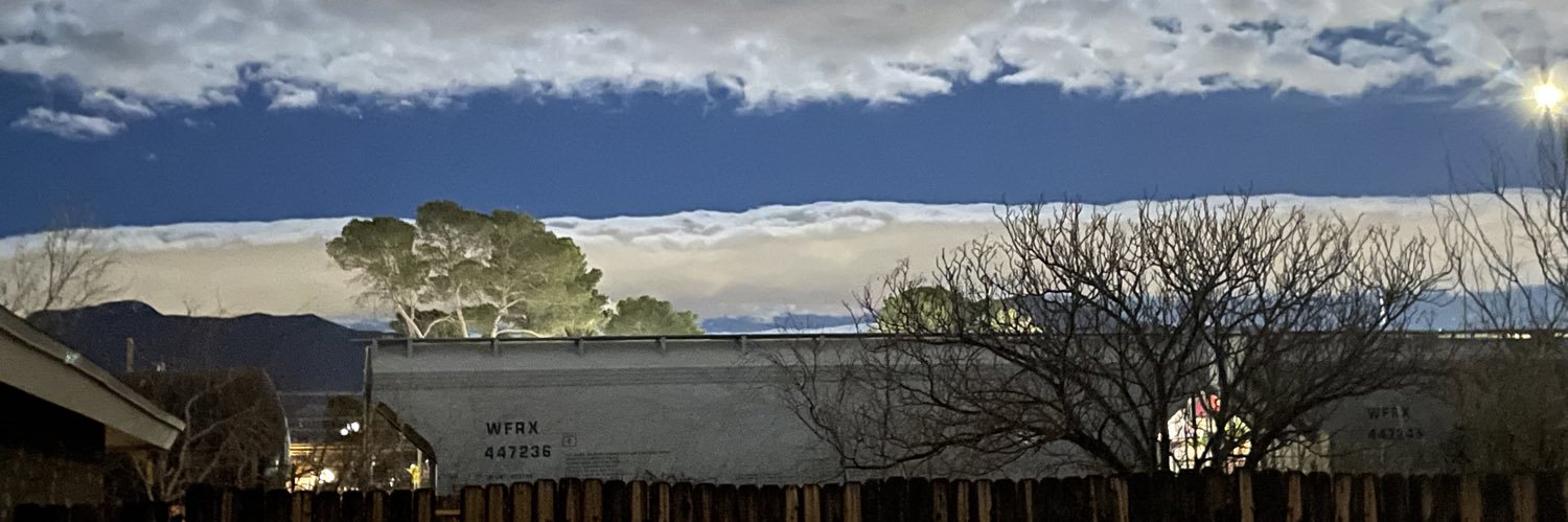 pedropolorey's profile banner image