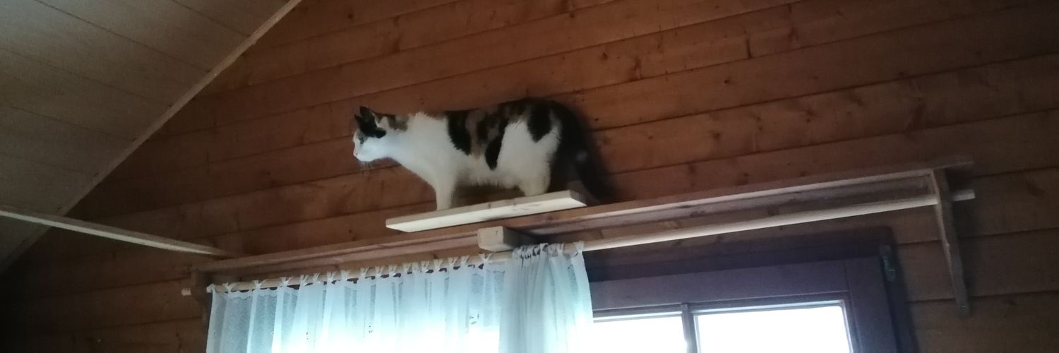 Ilka64's profile banner image