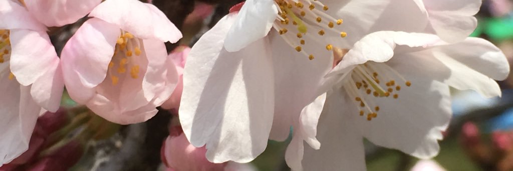 emi0212's profile banner image