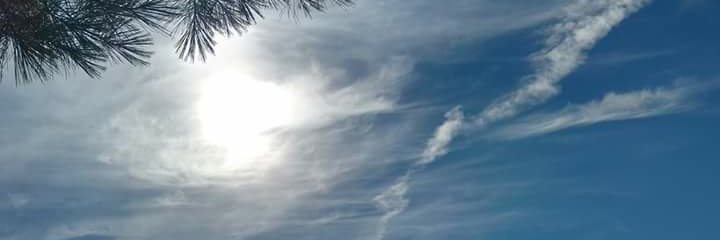 shelz103's profile banner image