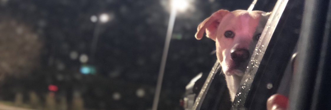 Turo_too_raw's profile banner image