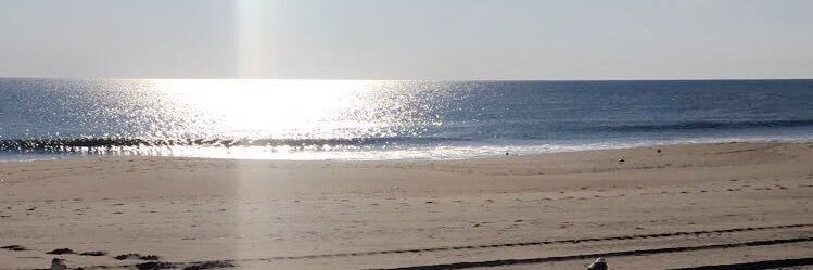 LauraAmoroso's profile banner image