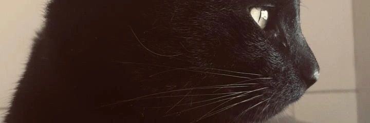 aguusmdg's profile banner image