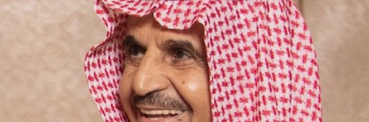 محب النصر banner