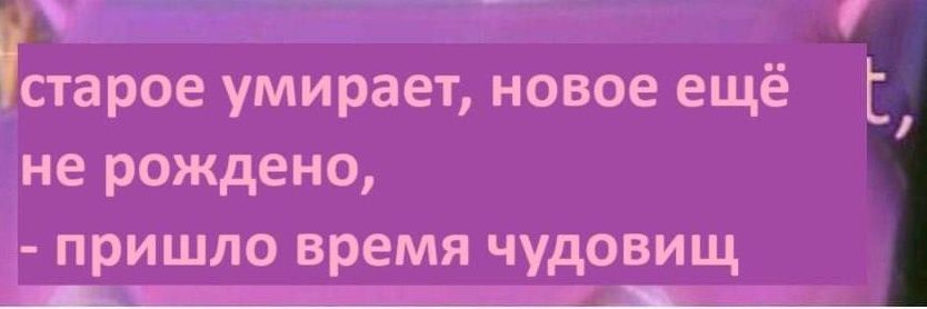 elonvsk's profile banner image